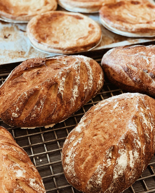 Sourdough Loaf