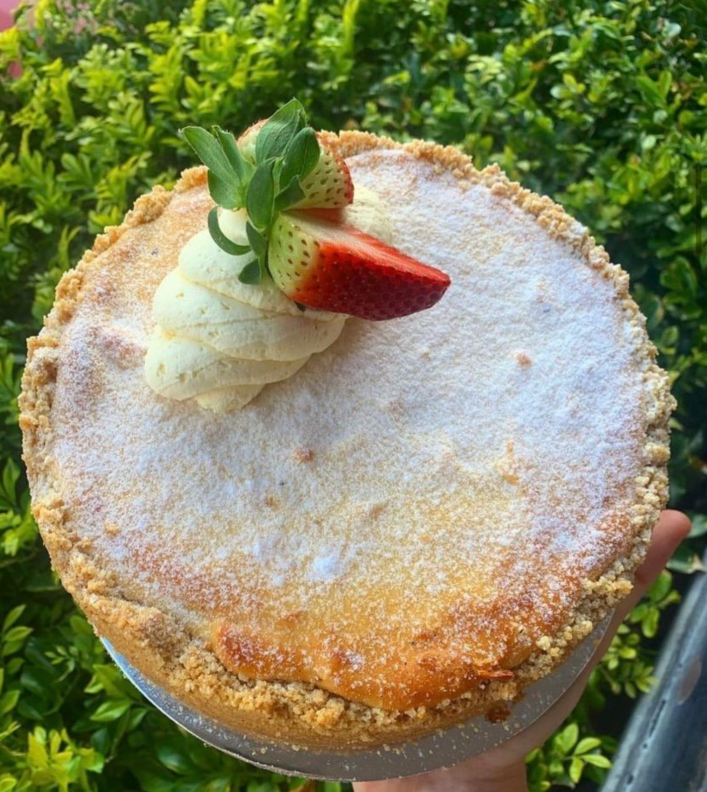 Plain Baked Cheesecake