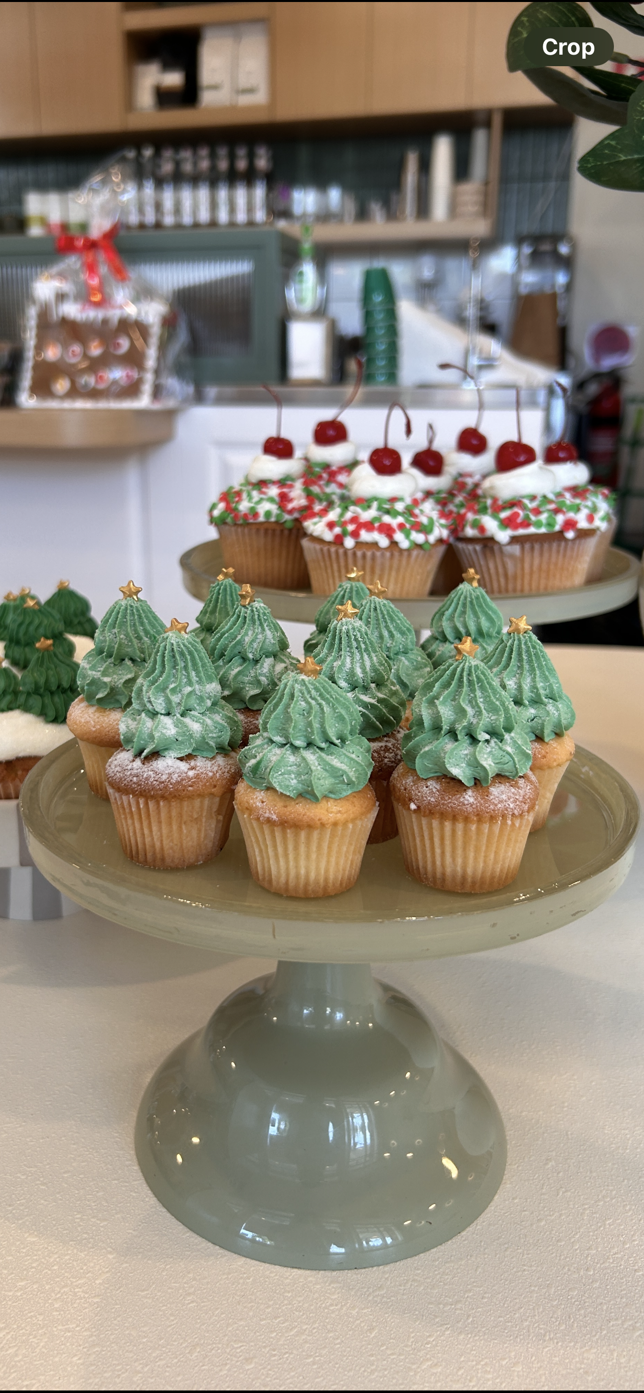 Mini Christmas Tree Cupcakes