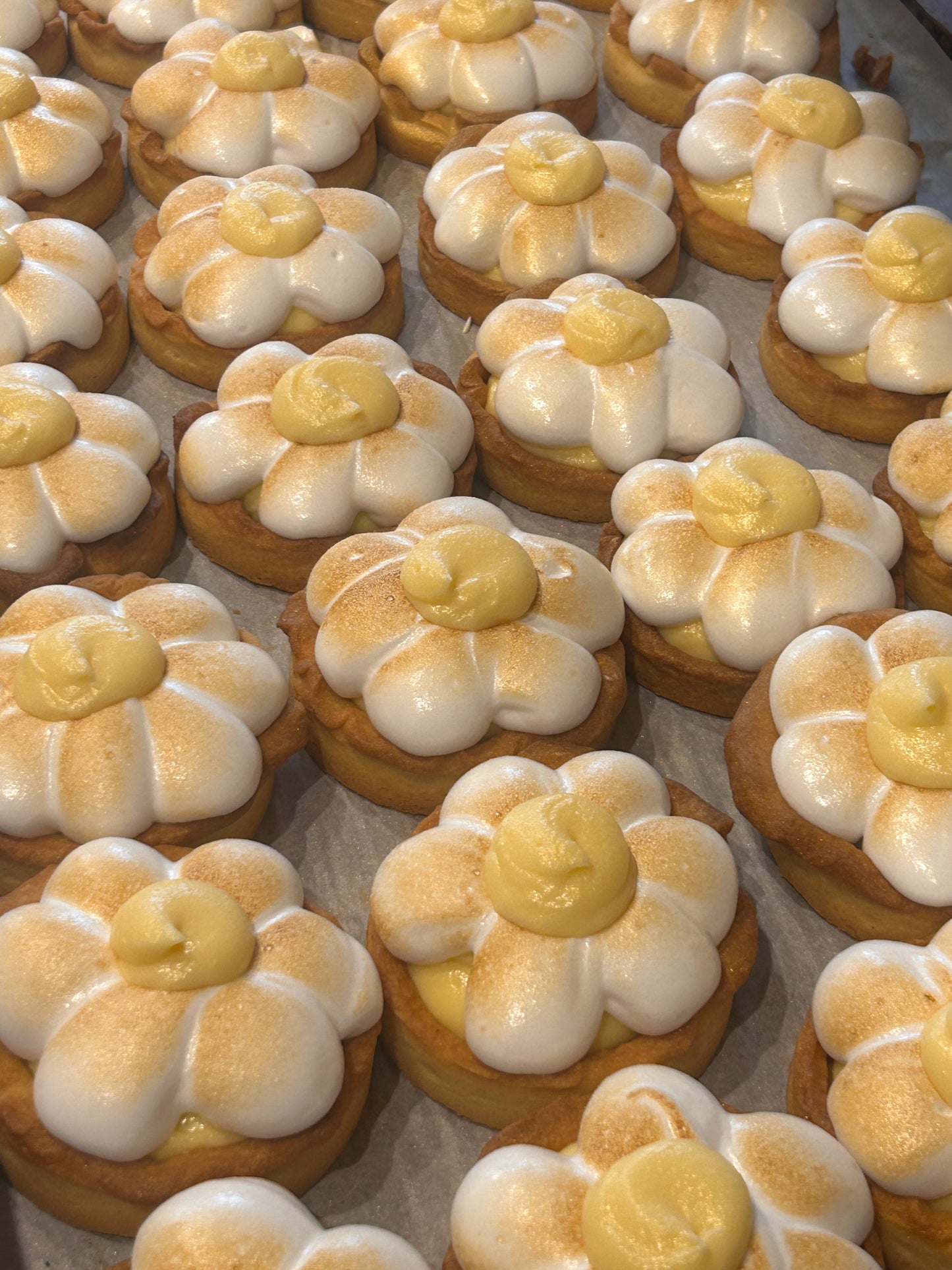 Lemon Cream Tarts