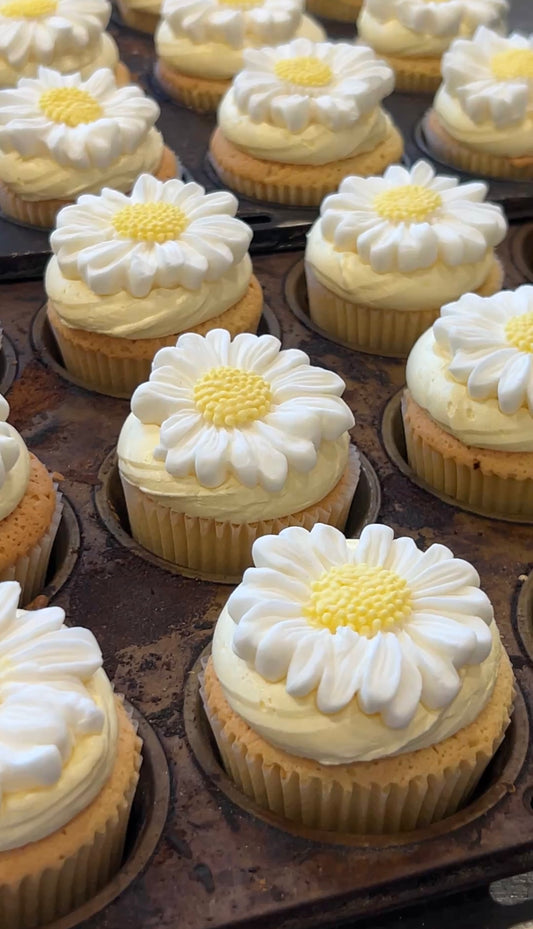 Daisy Cupcake